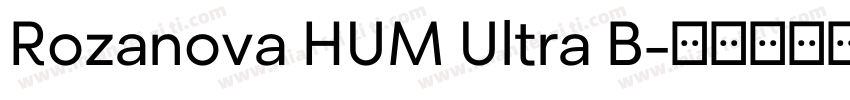 Rozanova HUM Ultra B字体转换